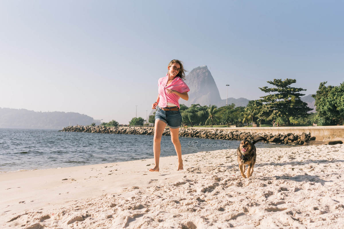 ensaio com pet srd Rio de Janeiro