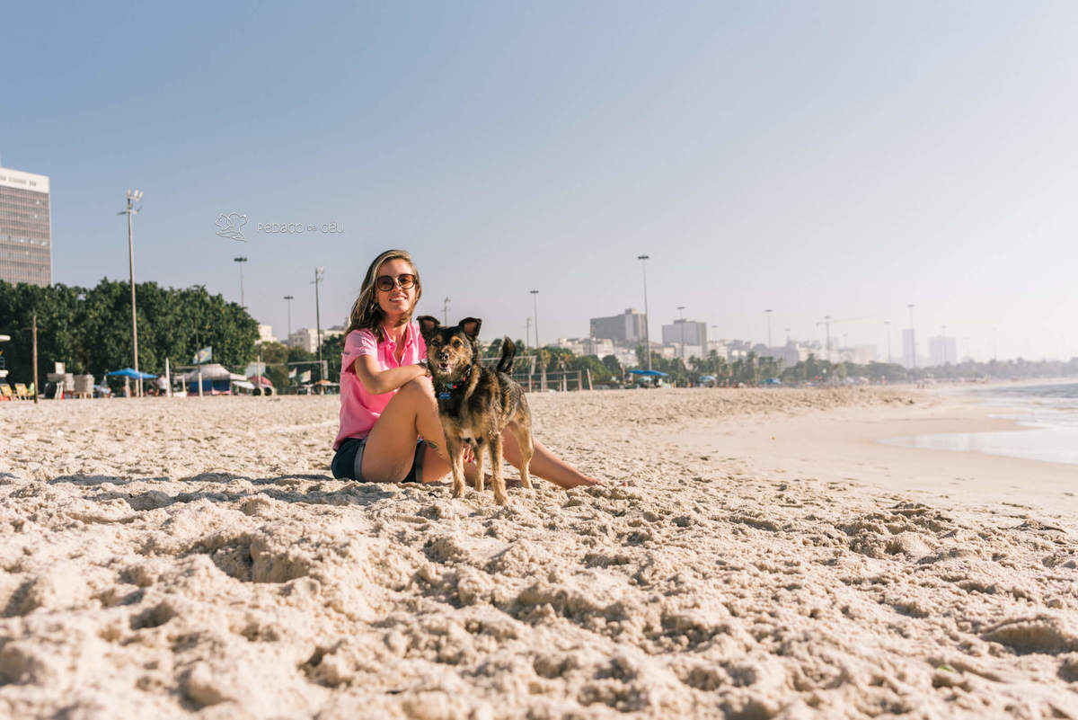 ensaio com pet srd Rio de Janeiro