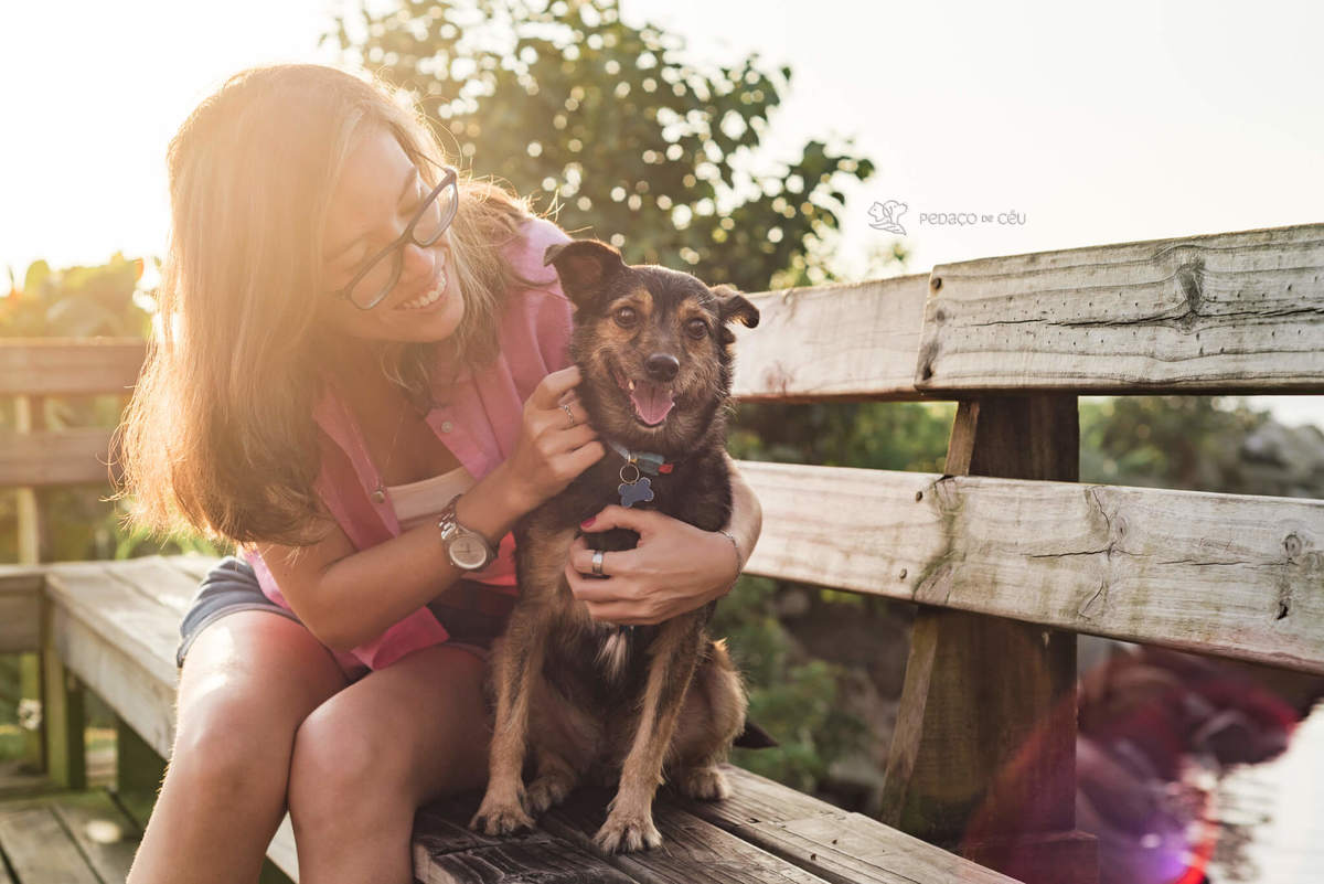 ensaio com pet srd Rio de Janeiro