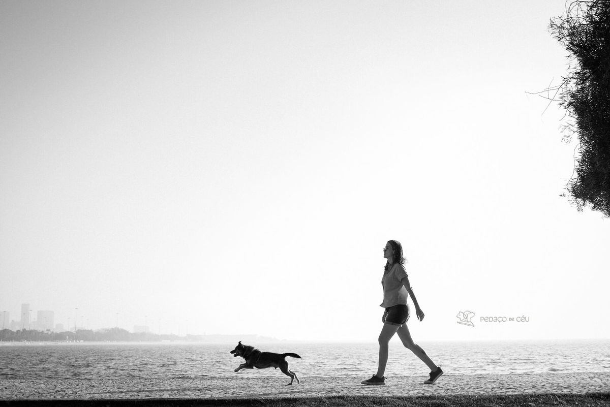 ensaio com pet srd Rio de Janeiro