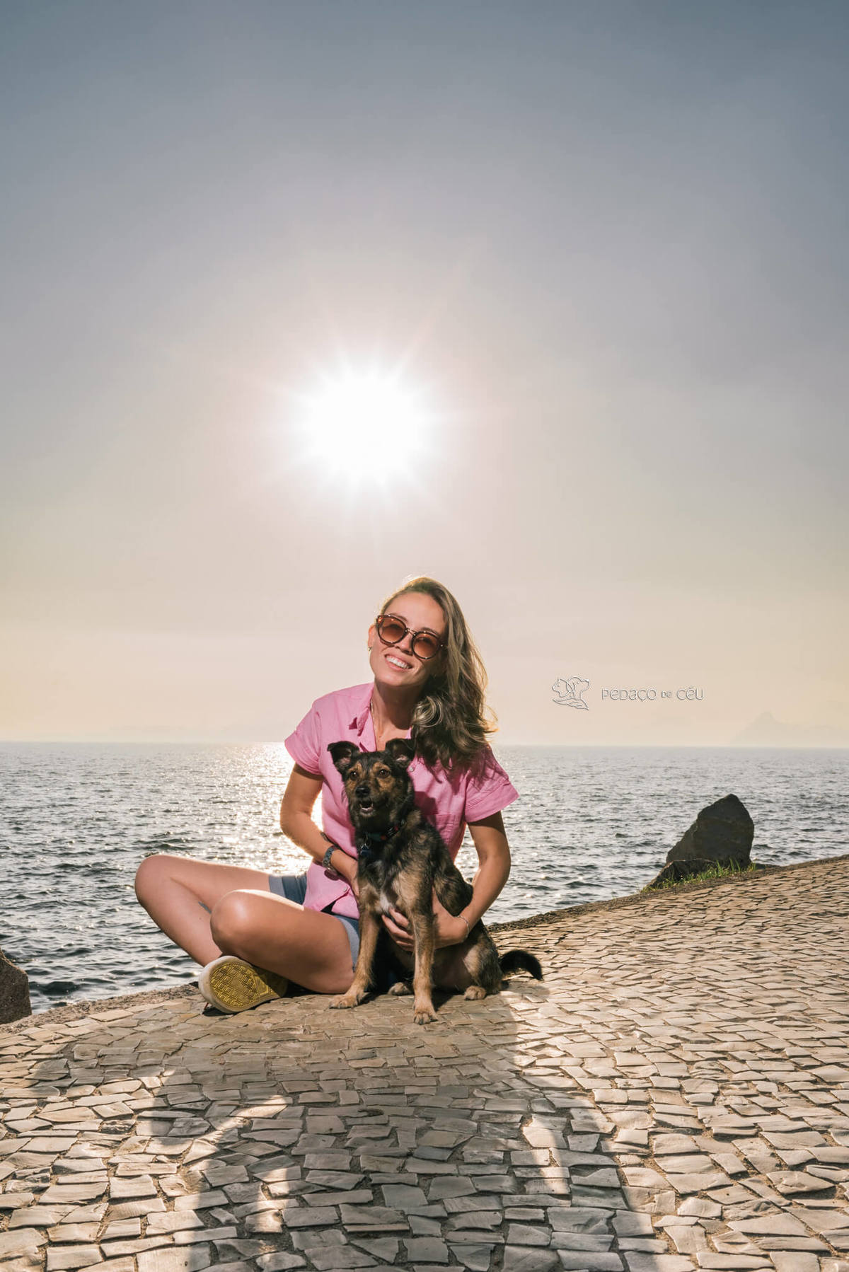 ensaio com pet srd Rio de Janeiro