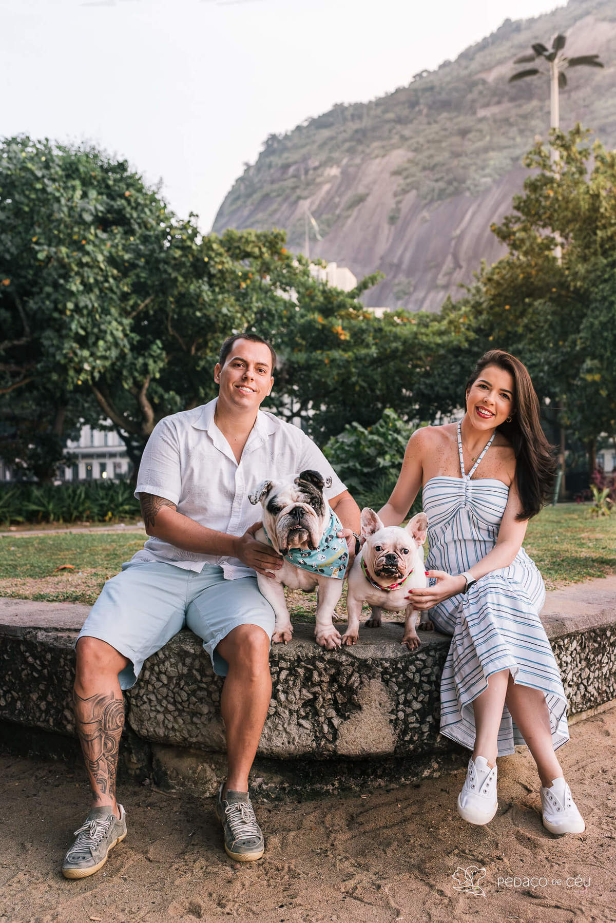 Ensaio pet bulldog rio de janeiro praia