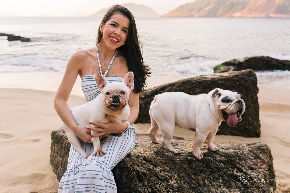 Ensaio pet bulldog rio de janeiro praia