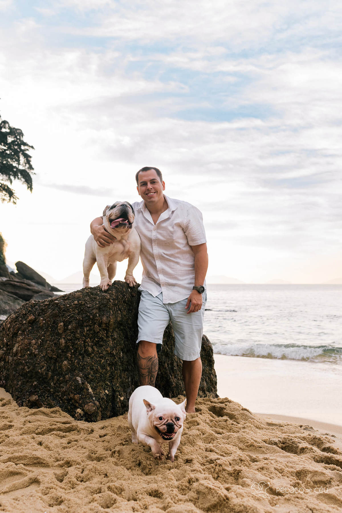 Ensaio pet bulldog rio de janeiro praia