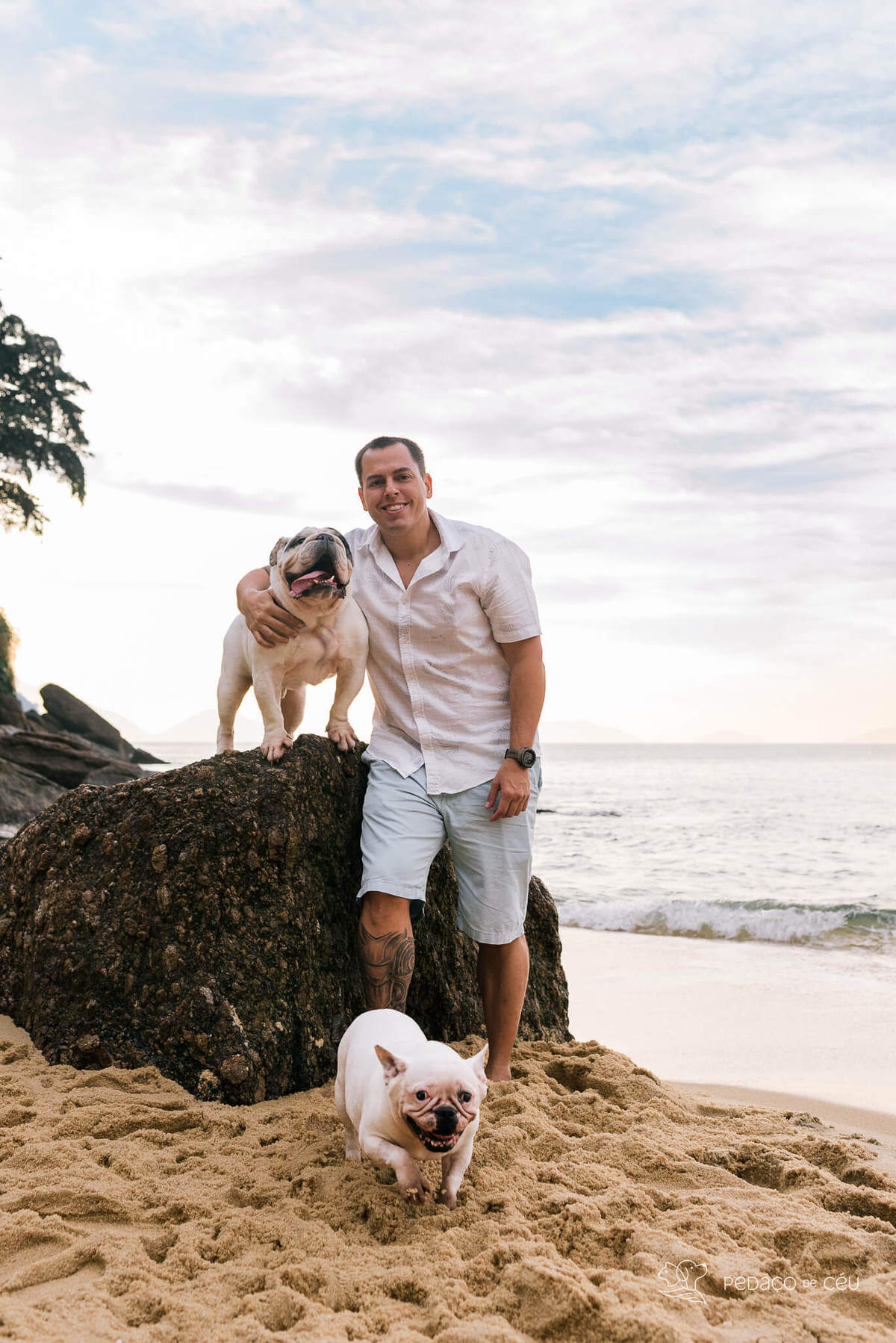 Ensaio pet bulldog rio de janeiro praia