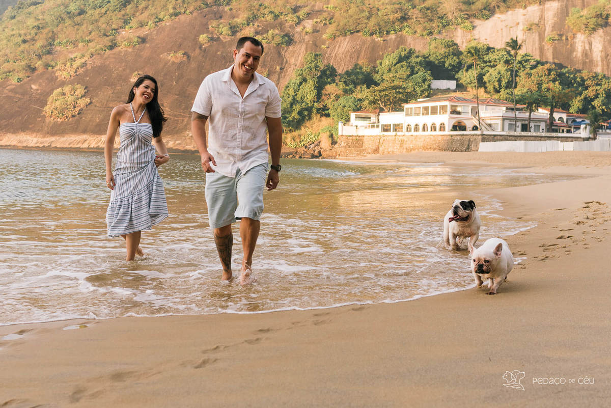 Ensaio pet bulldog rio de janeiro praia