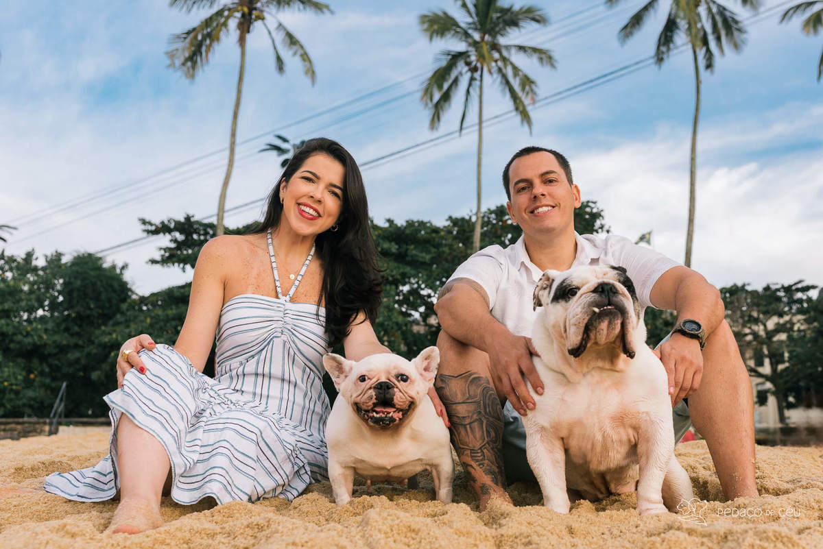 Ensaio pet bulldog rio de janeiro praia
