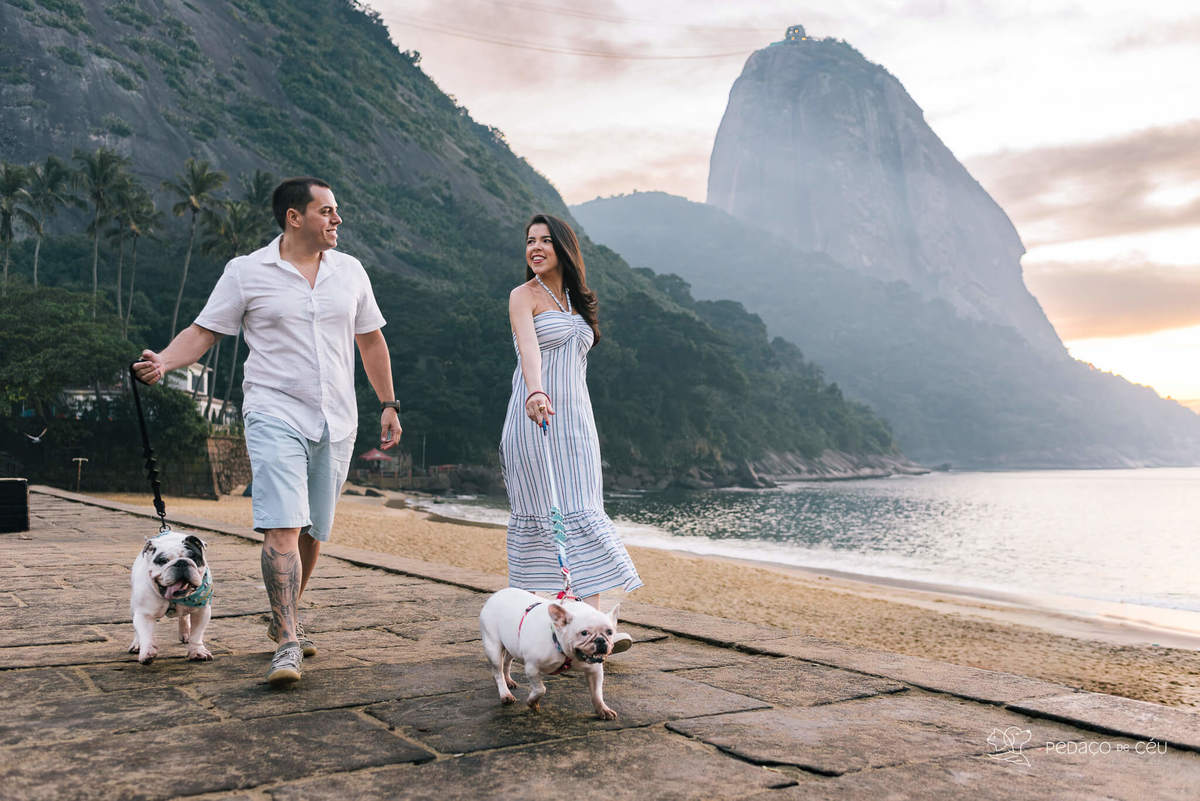 Ensaio pet bulldog rio de janeiro praia