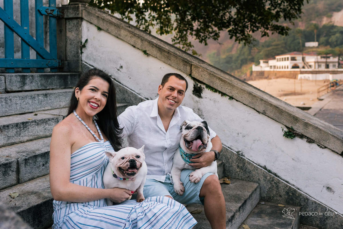 Ensaio pet bulldog rio de janeiro praia