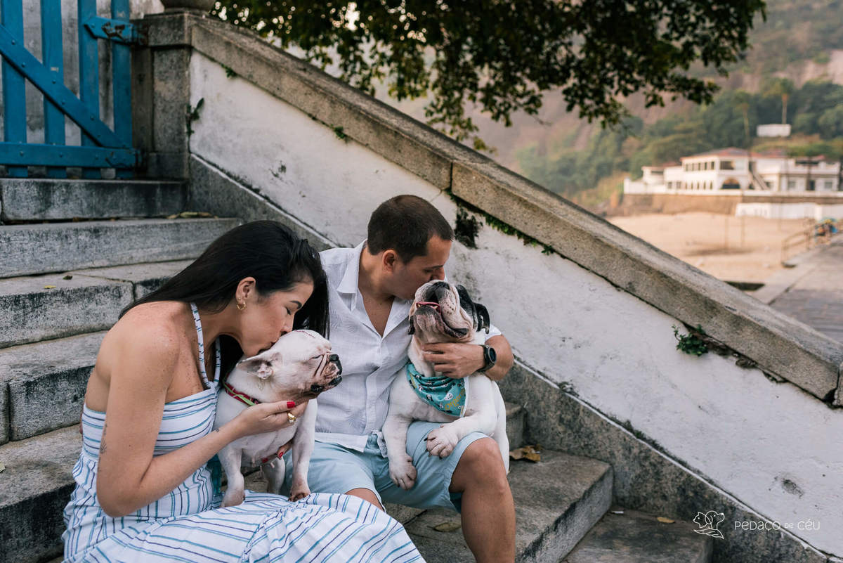 Ensaio pet bulldog rio de janeiro praia