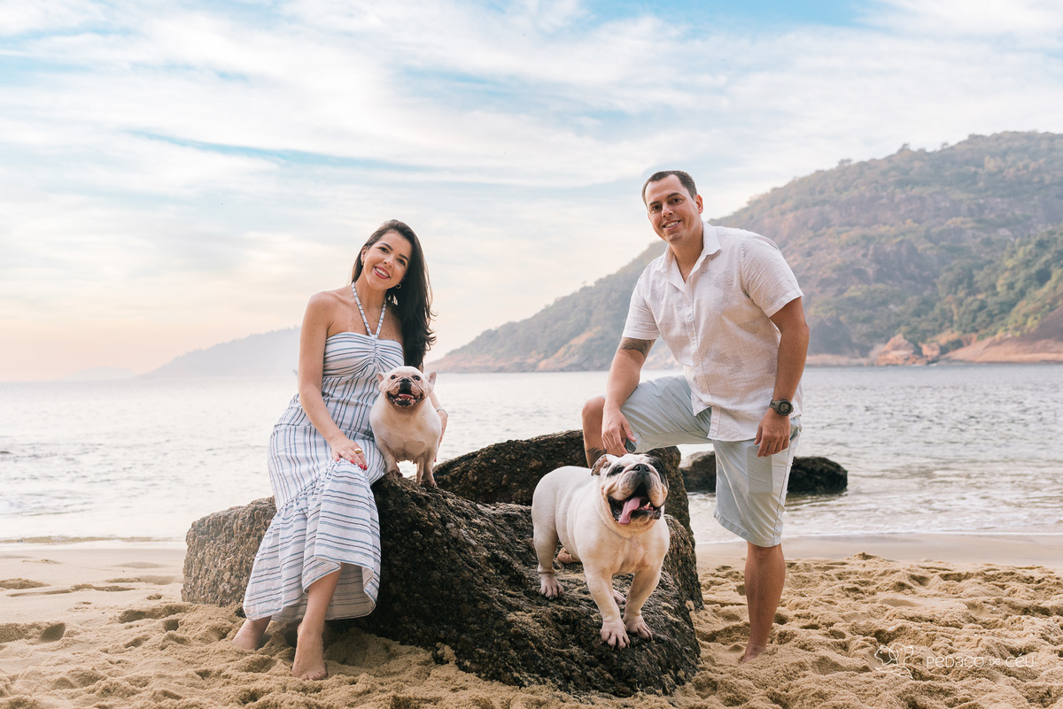 Fotografia pet bulldog rio de janeiro praia