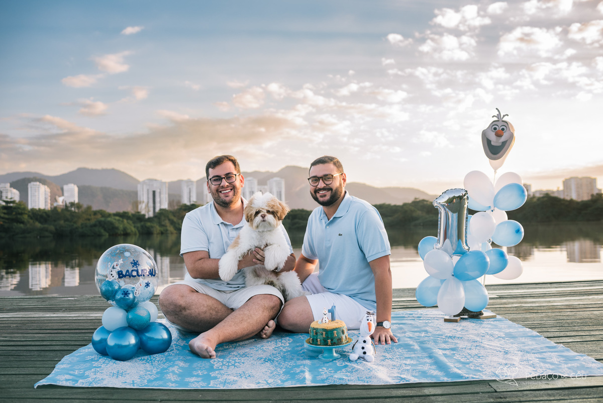 Smash the Cake pet 1 ano Rio de Janeiro