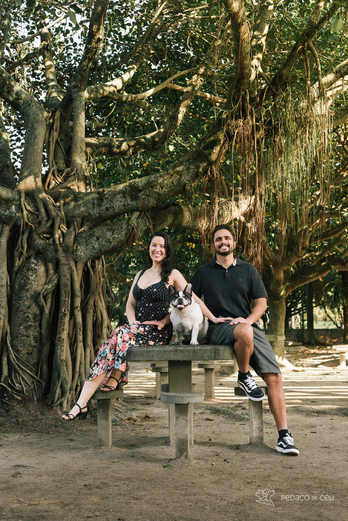 Ensaio fotográfico pet bulldog Rio de Janeiro
