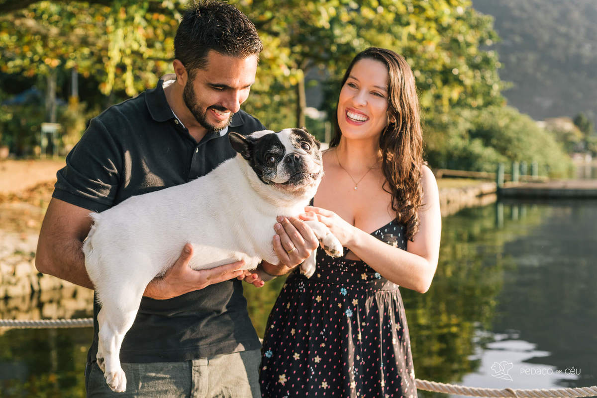 Ensaio fotográfico pet bulldog Rio de Janeiro