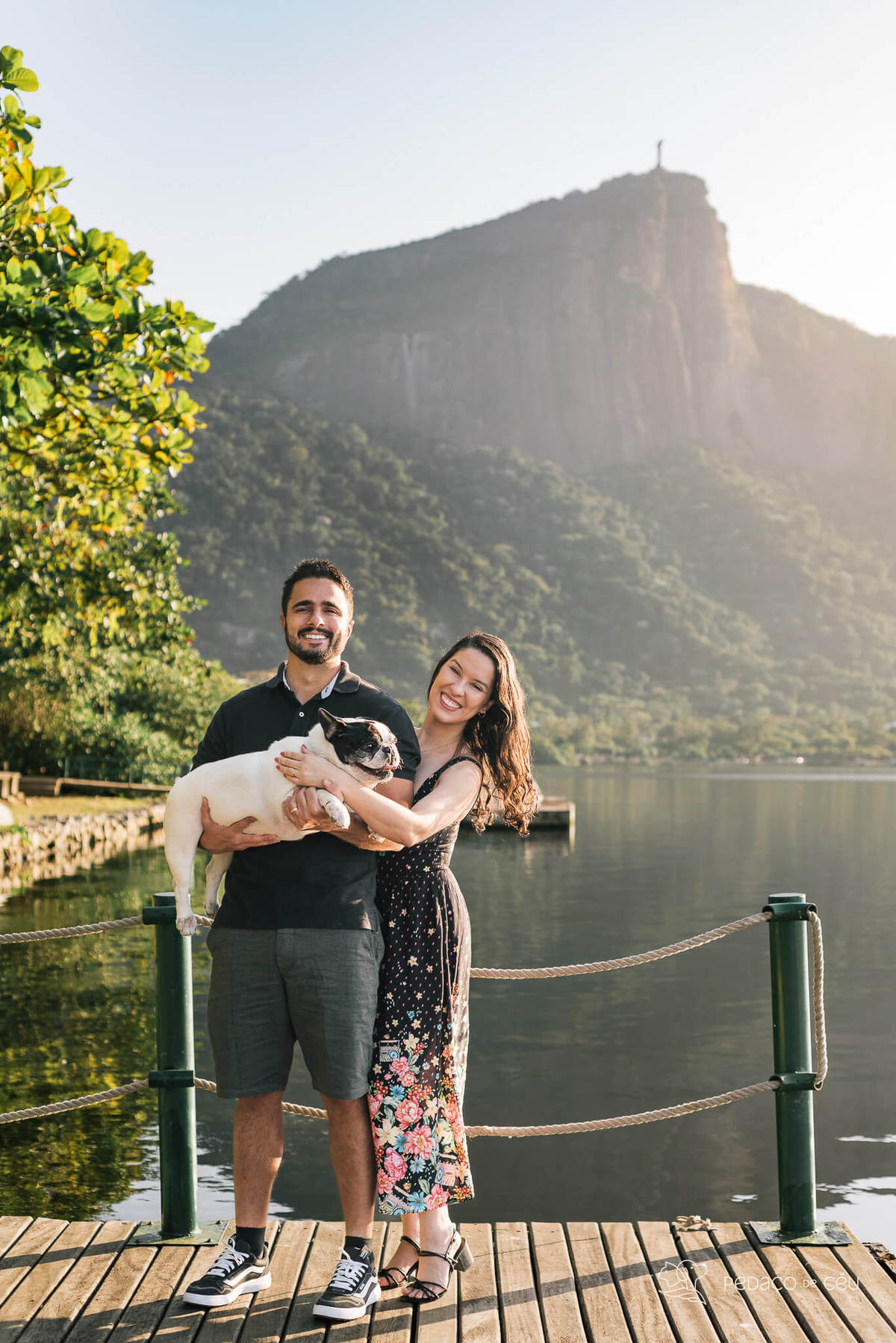 Ensaio fotográfico pet bulldog Rio de Janeiro