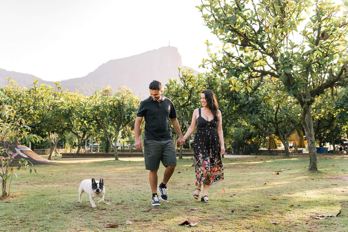 Ensaio fotográfico pet bulldog Rio de Janeiro