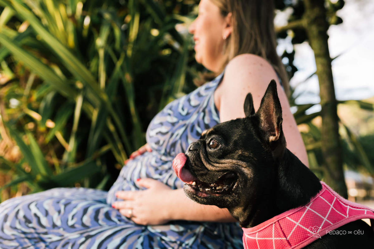 Ensaio gestante com pet Grumari Rio de Janeiro