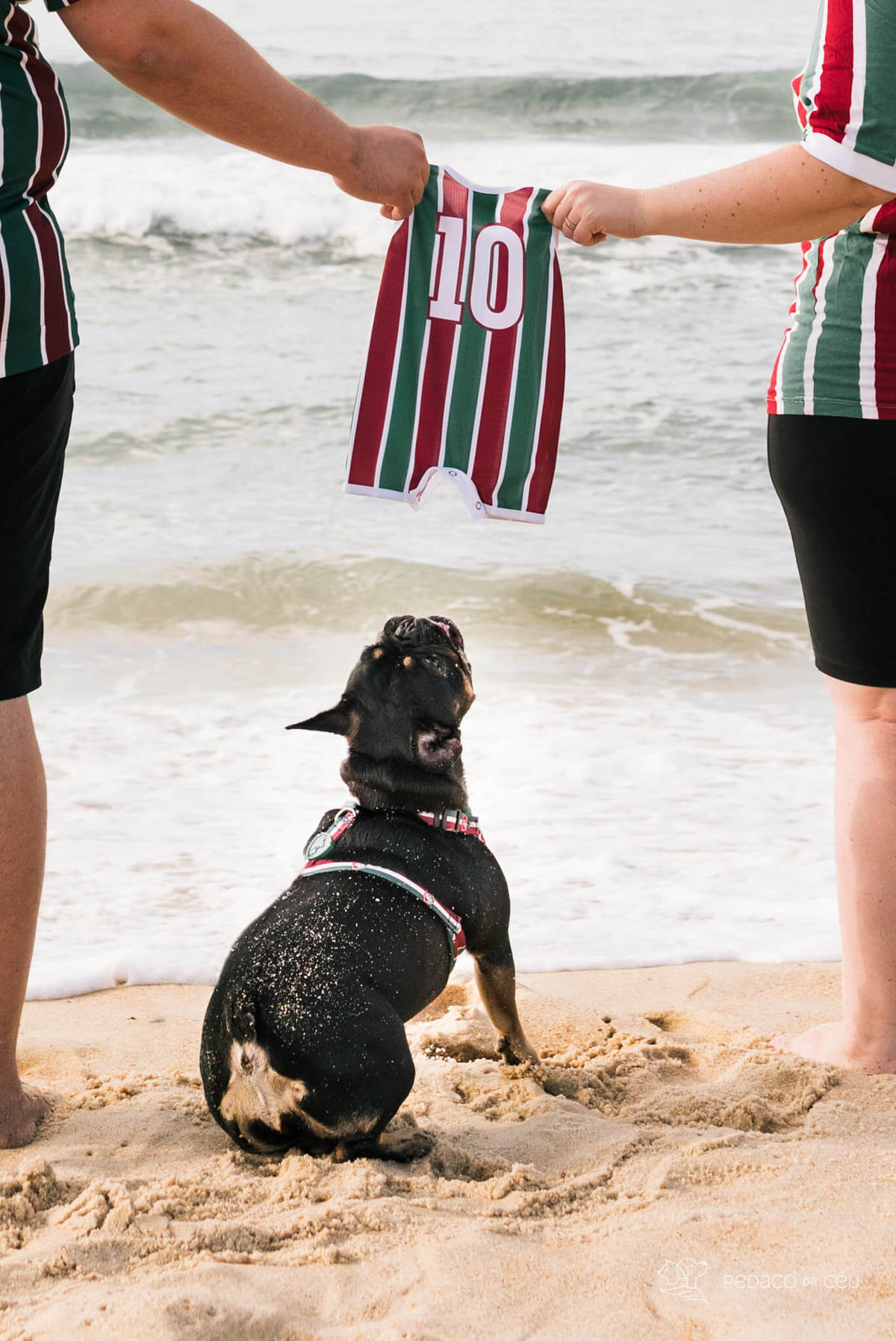 Ensaio gestante com pet Grumari Rio de Janeiro