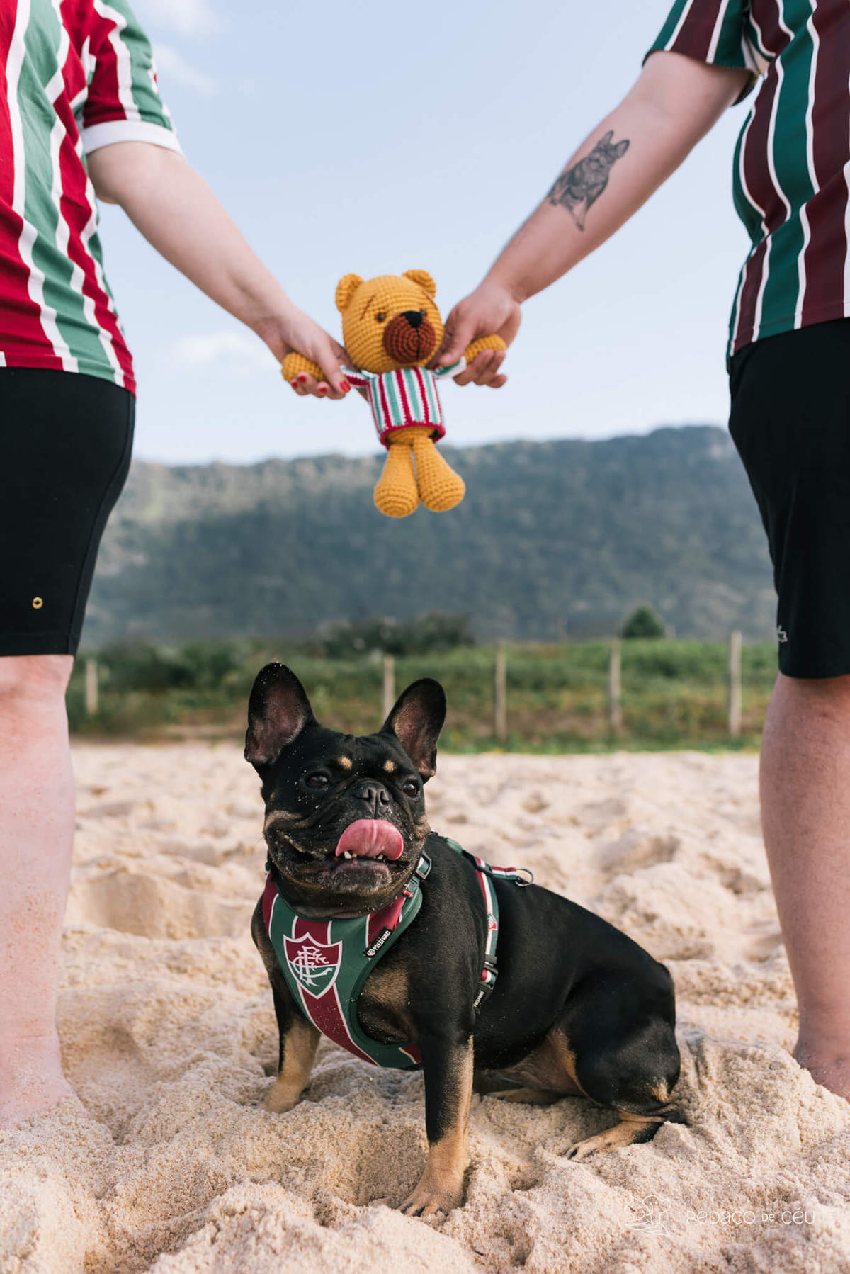 Ensaio gestante com pet Grumari Rio de Janeiro