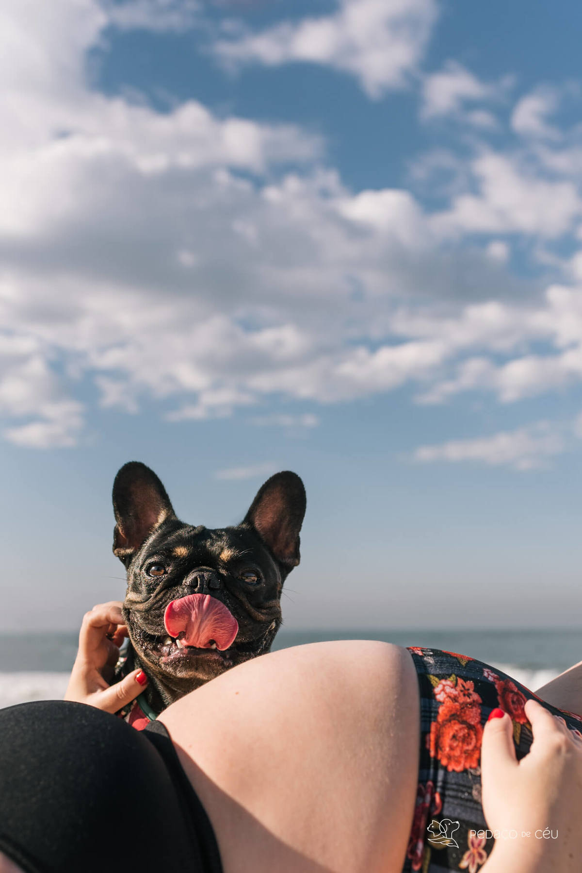 Ensaio gestante com pet Grumari Rio de Janeiro