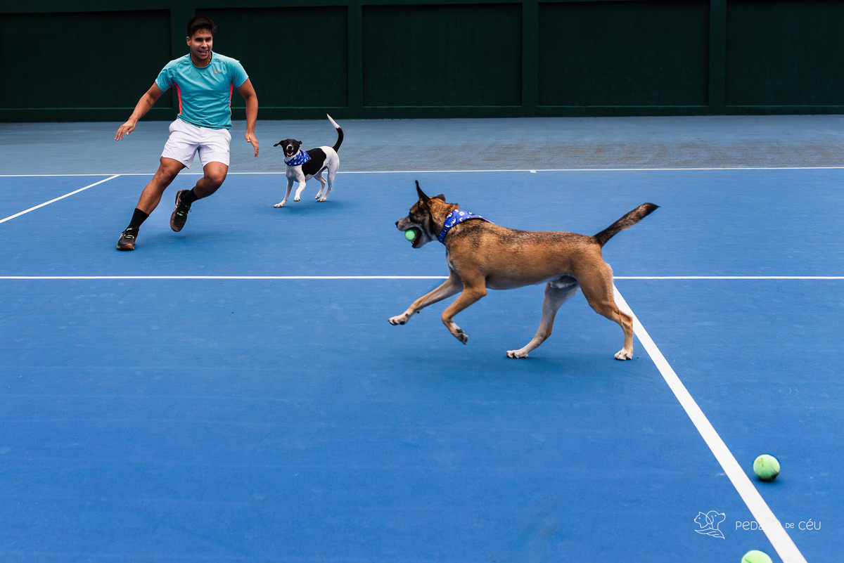 ensaio pet externo clube de tênis