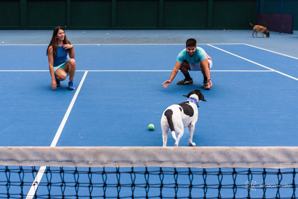 ensaio pet externo clube de tênis