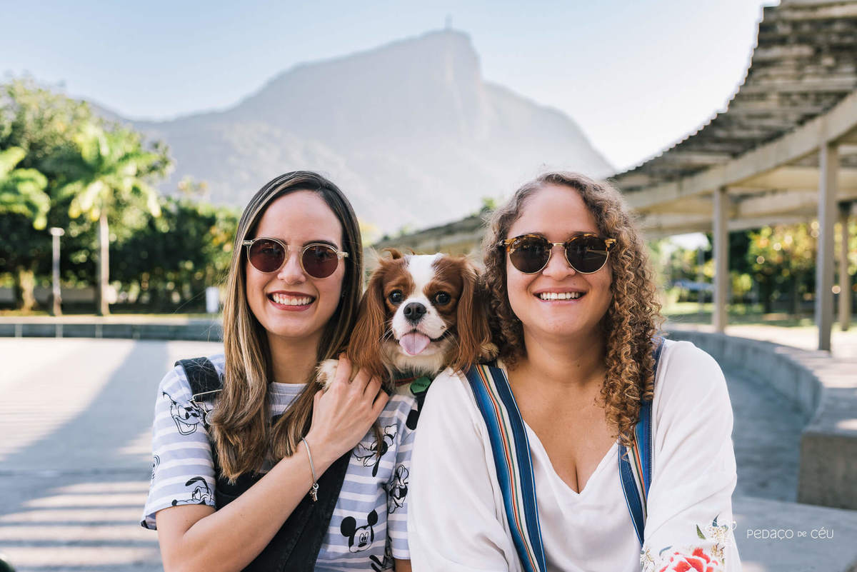 ensaio pet cavalier rio de janeiro