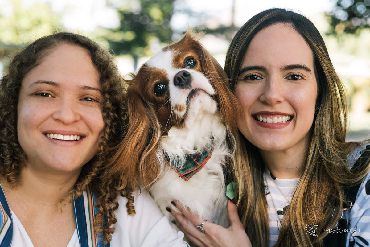 ensaio pet cavalier rio de janeiro