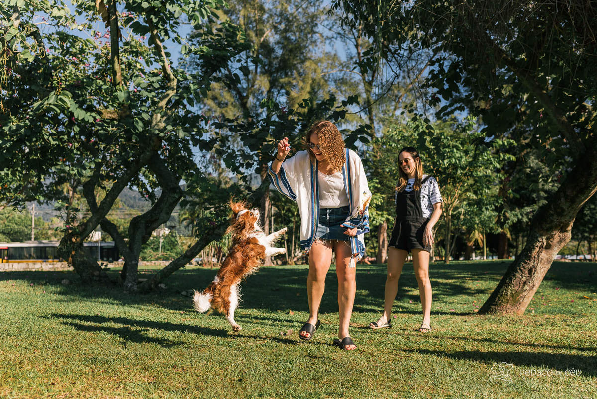 ensaio pet cavalier rio de janeiro