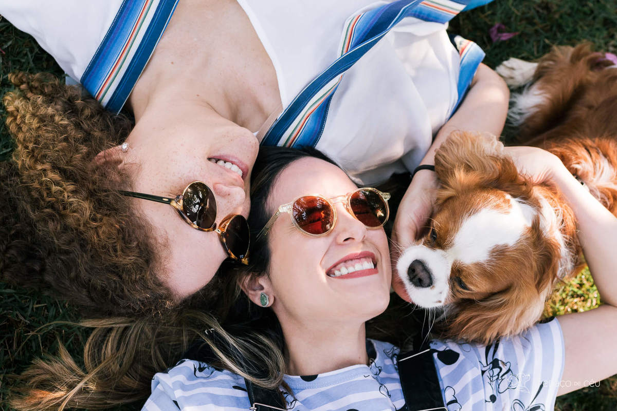 ensaio pet cavalier rio de janeiro