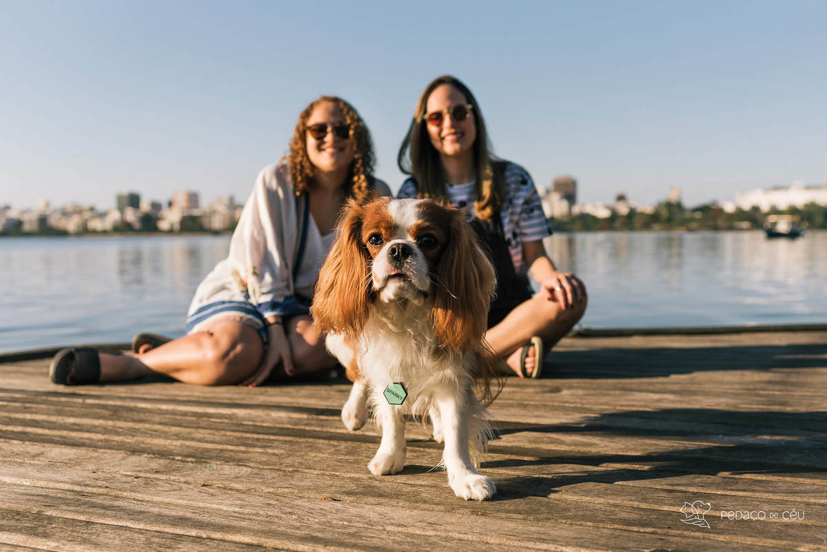 ensaio pet cavalier rio de janeiro
