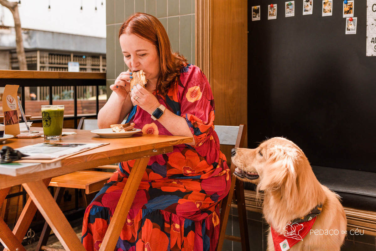 Ensaio pet golden retriver em restaurante Rio de Janeiro