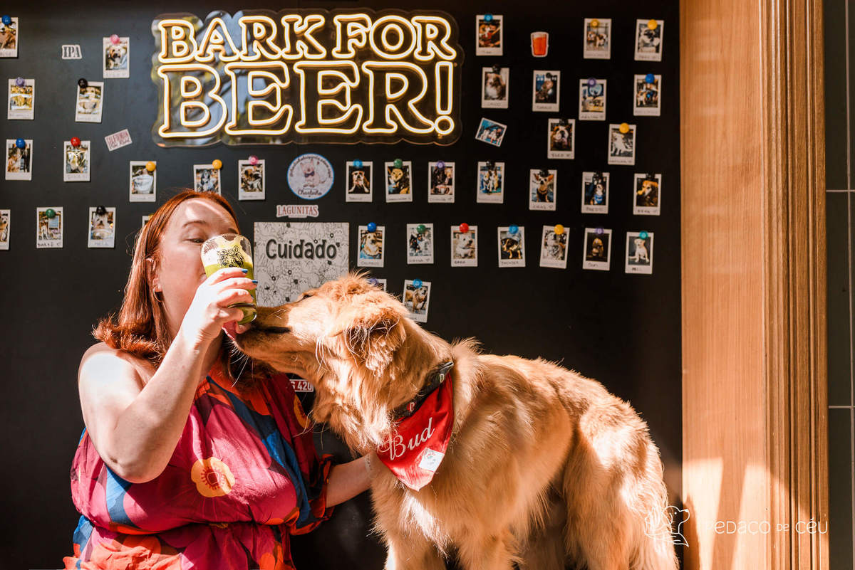 Ensaio pet golden retriver em restaurante Rio de Janeiro