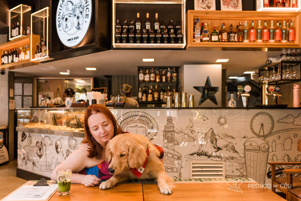 Ensaio pet golden retriver em restaurante Rio de Janeiro