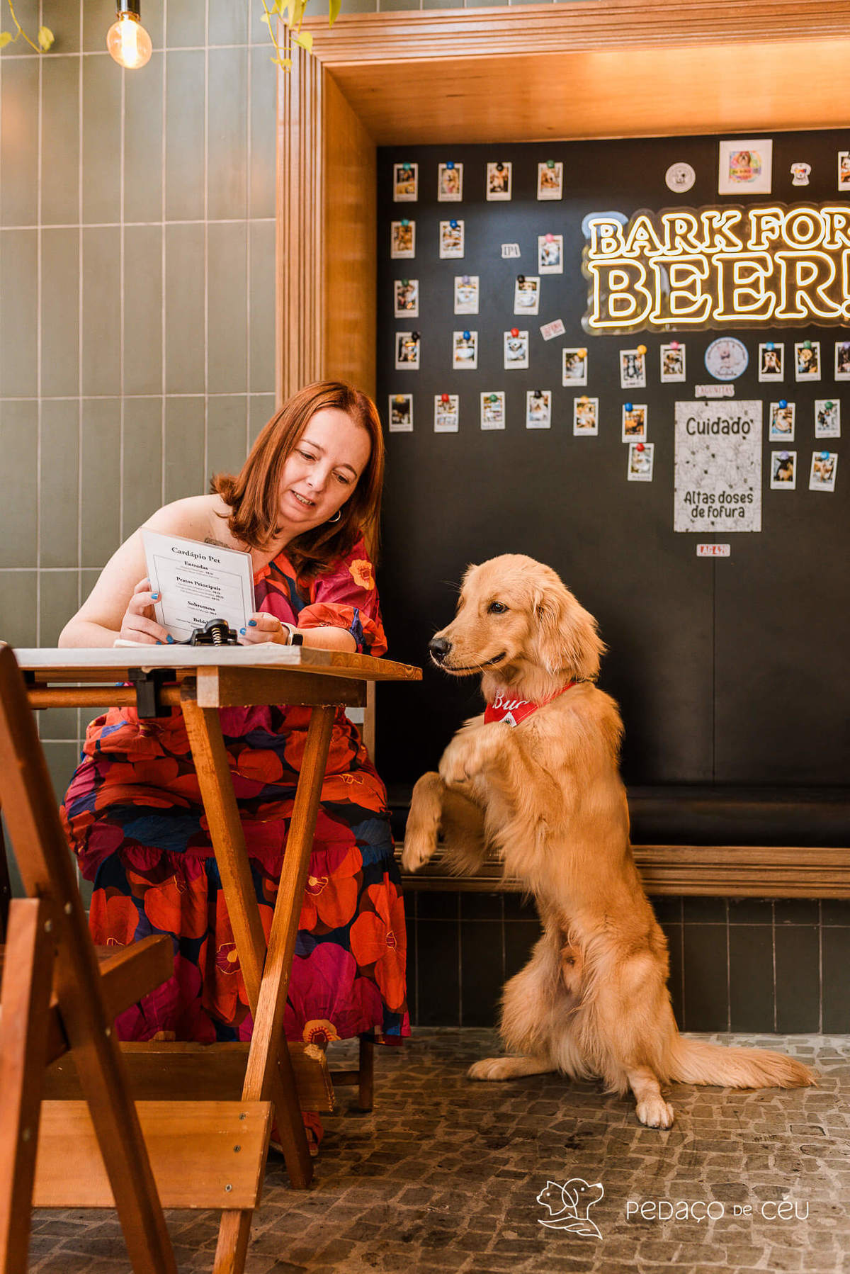 Ensaio pet golden retriver em restaurante Rio de Janeiro