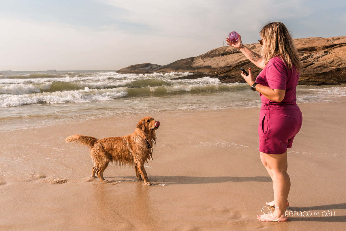 Golden retriever praia do Arpoador RJ Ensaio Pet
