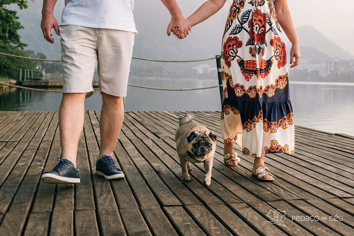ensaio pet pug rio de janeiro