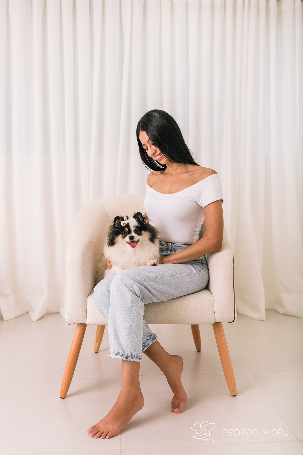 Ensaio pet em estúdio Rio de Janeiro Barra da Tijuca