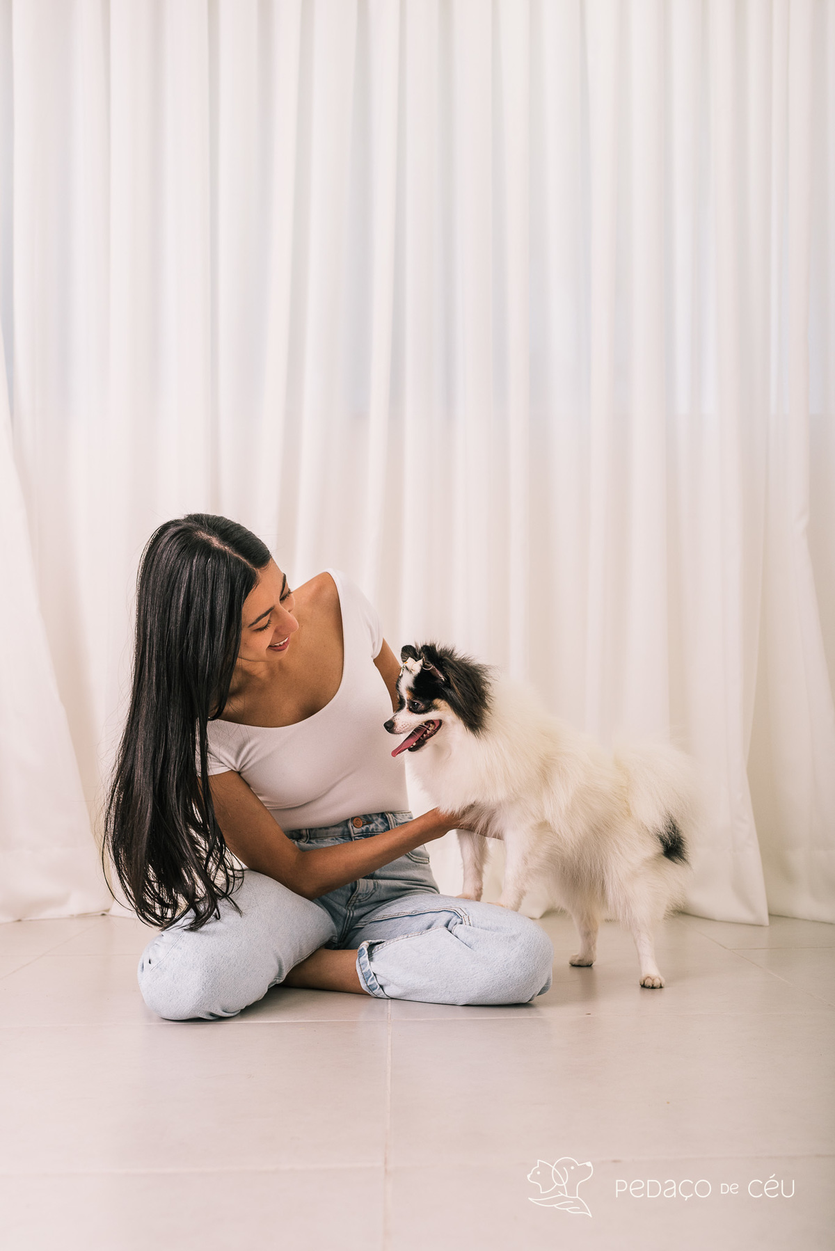 Ensaio pet em estúdio Rio de Janeiro Barra da Tijuca