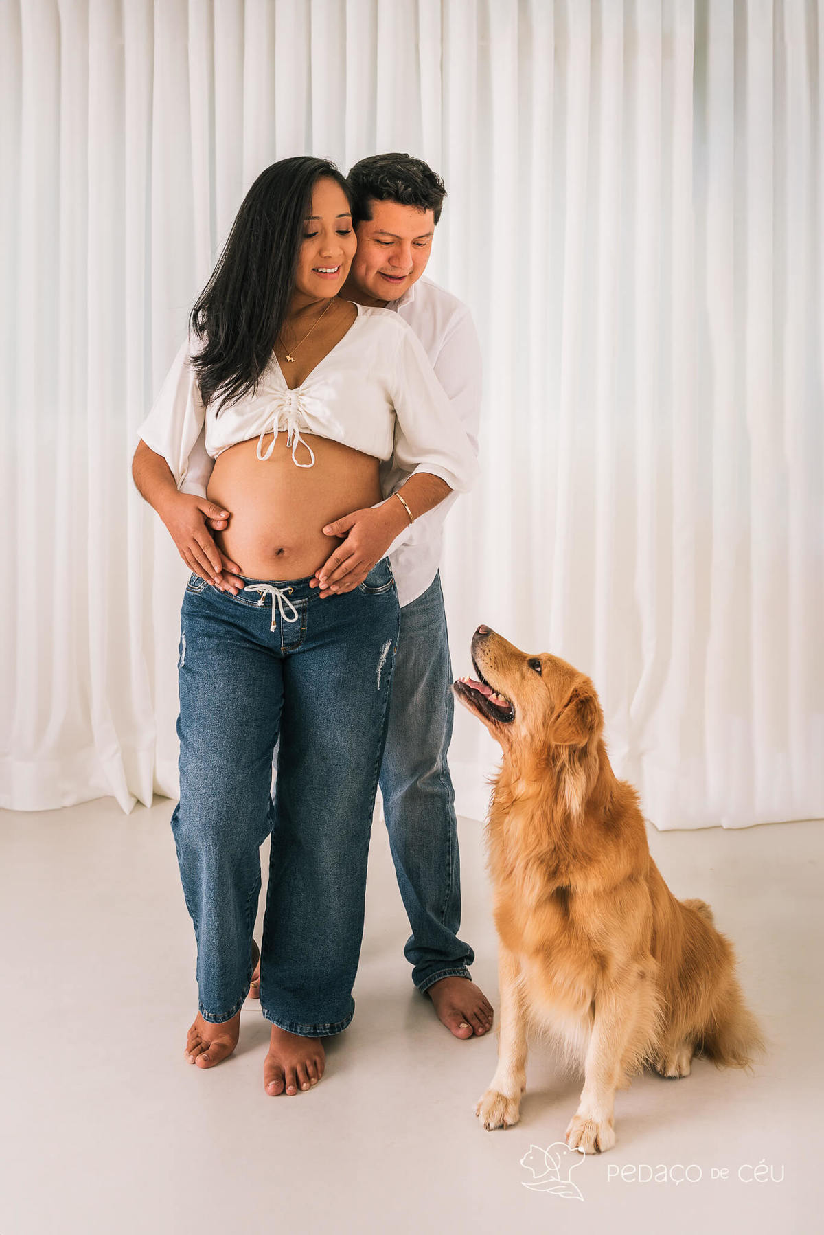 ensaio gestante com pet - Golden gestante