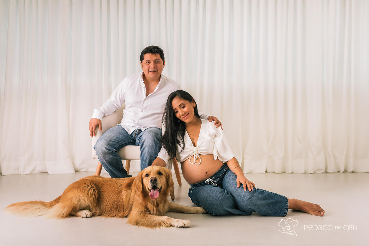 ensaio gestante com pet - Golden gestante