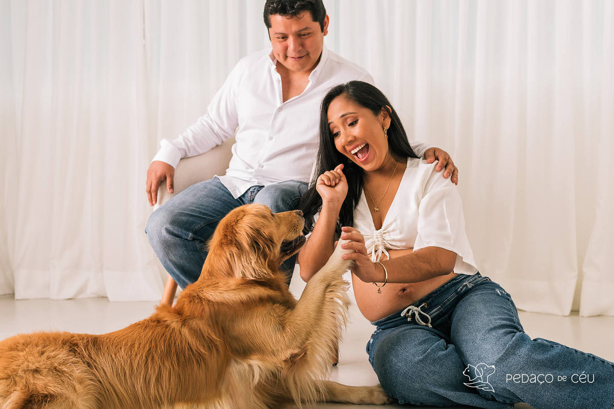 ensaio gestante com pet - Golden gestante