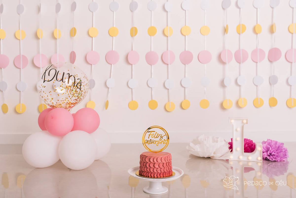 Cake smash pet em estúdio fotográfico Barra da Tijuca