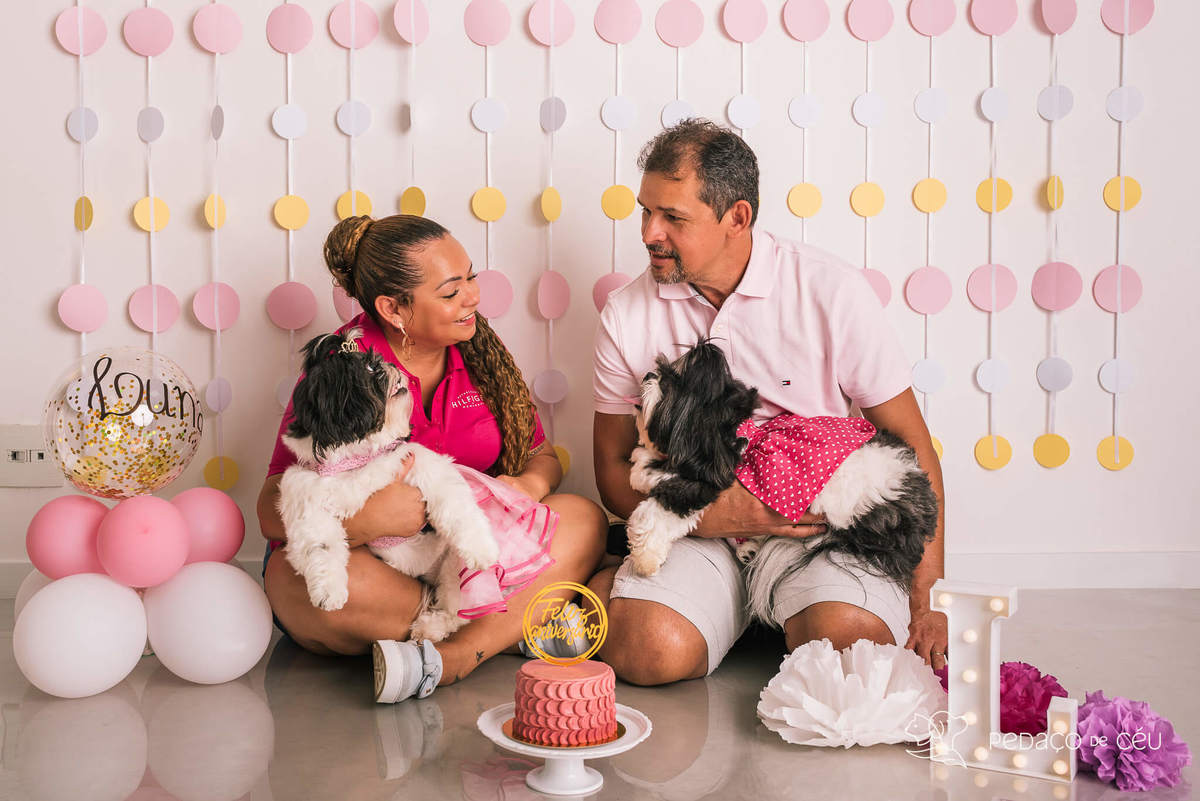Cake smash pet em estúdio fotográfico Barra da Tijuca