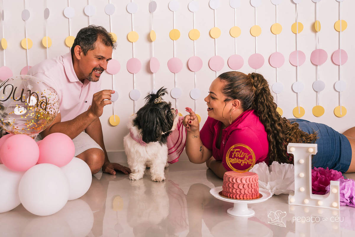Cake smash pet em estúdio fotográfico Barra da Tijuca