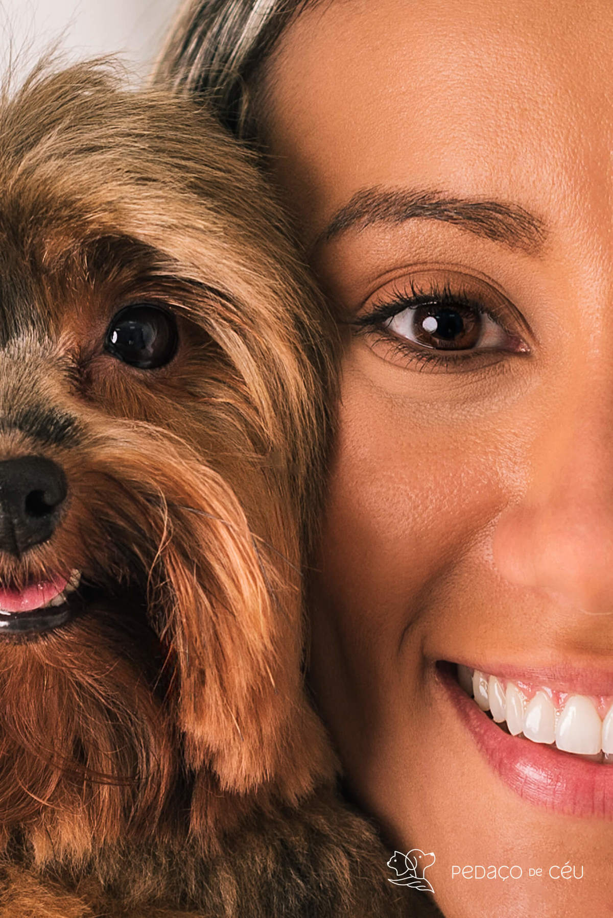 ensaio estúdio com pet rio de janeiro