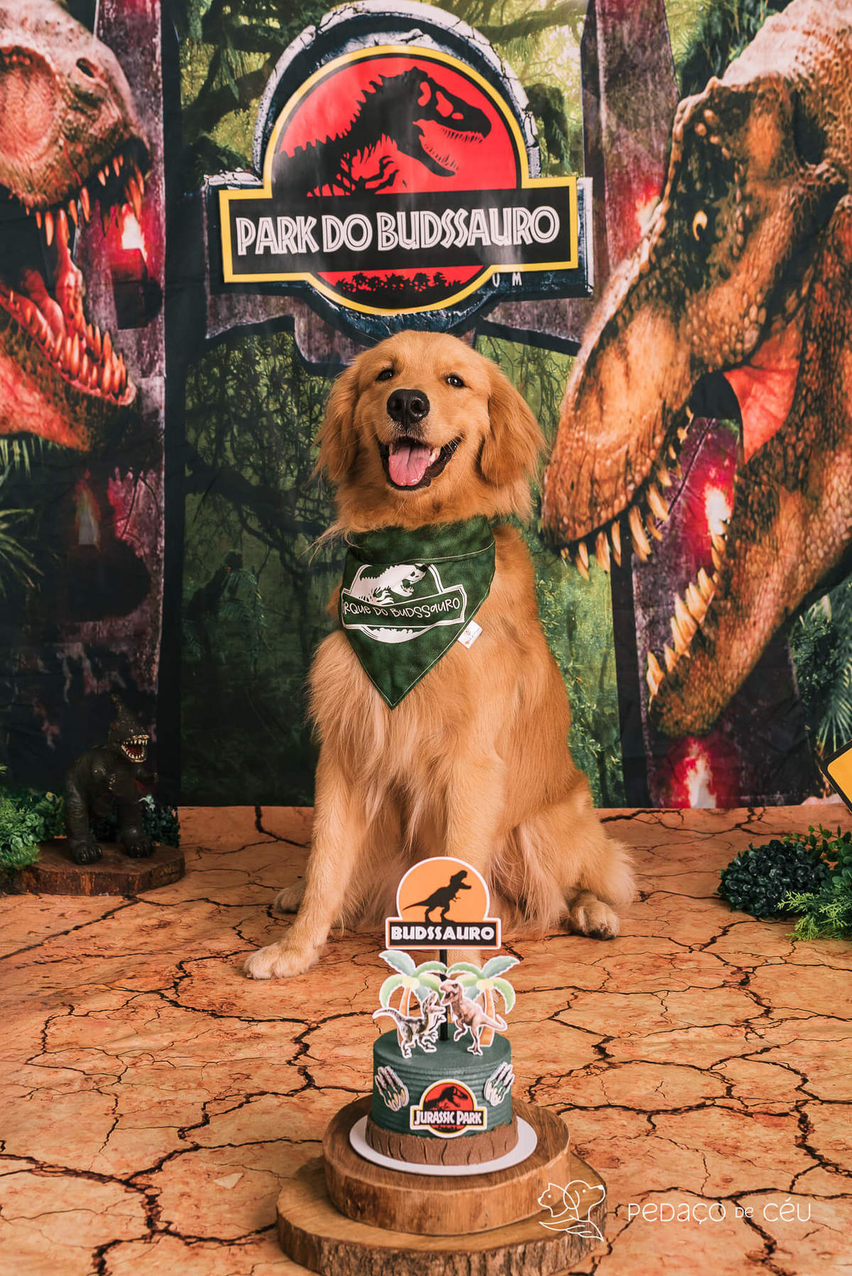 Ensaio pet de aniversário estúdio pet friendly rio de ajneiro