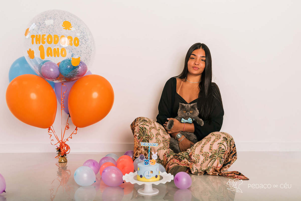 ensaio fotográfico gato persa