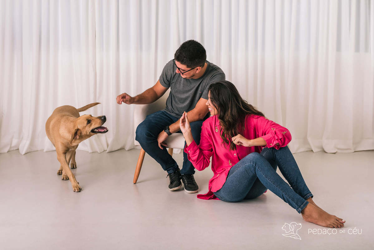 ensaio pet srd estúdio rio de janeiro