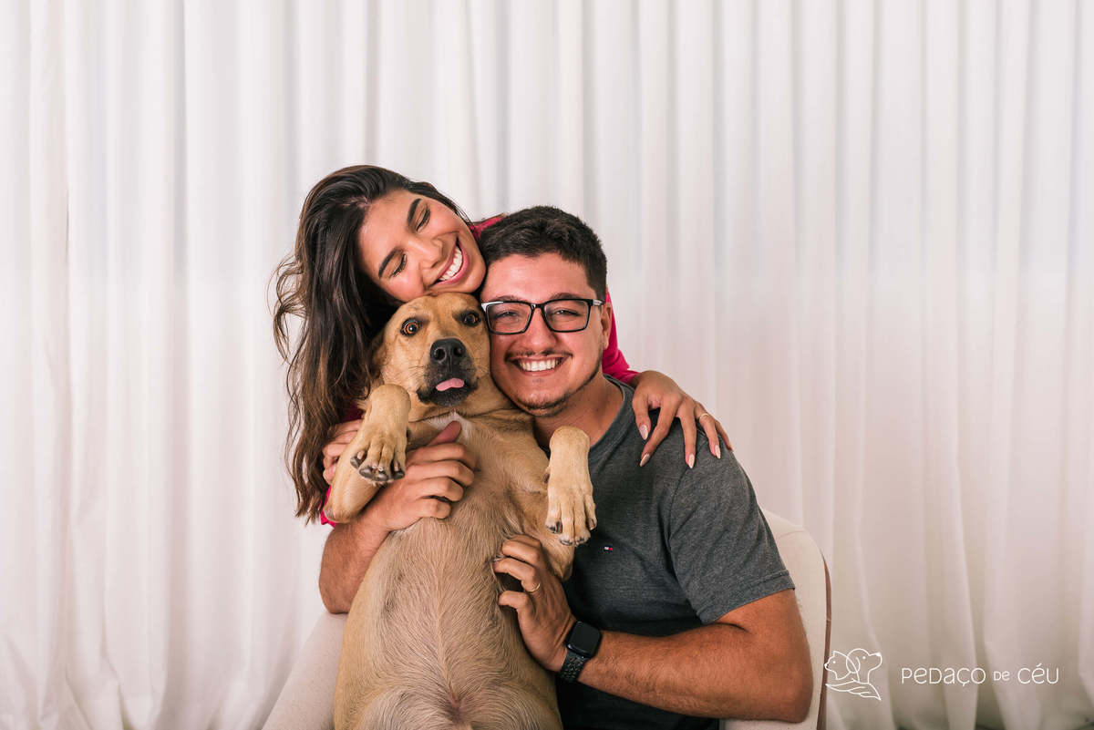 ensaio pet srd estúdio rio de janeiro